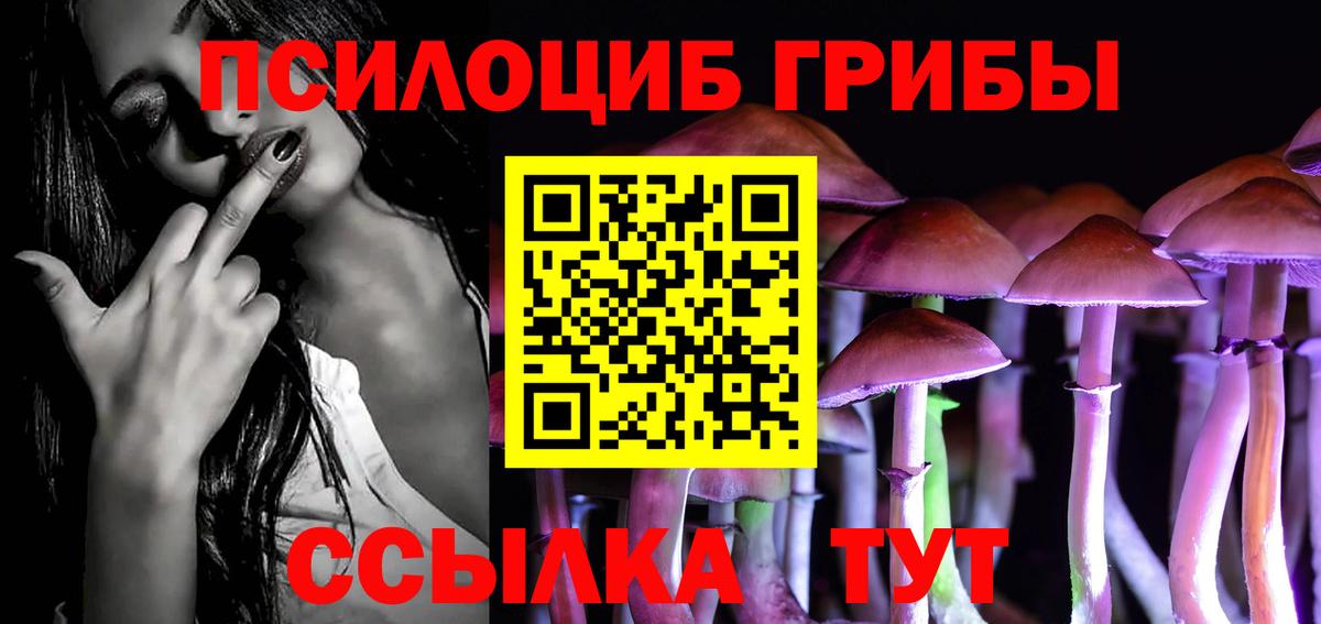 Псилоцибиновые грибы MAGIC MUSHROOMS  Вход с VPN  Златоуст  Псилоцибиновые грибы мухоморы 
